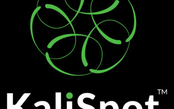 Transformation de l’accès aux Services Financiers en Afrique : KaliSpot, Fintech Sénégalaise, effectue sa première levée de fonds auprès de 500 Global à San Francisco