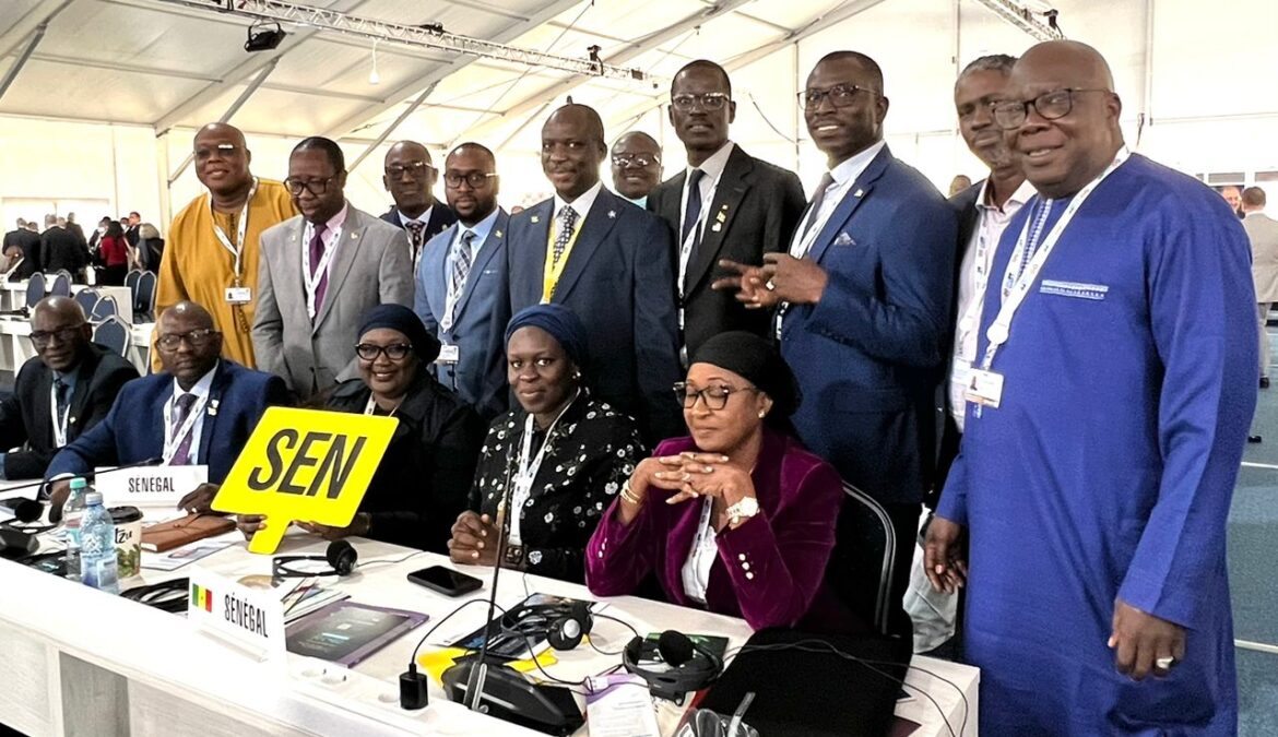 Télécommunications : Le Sénégal réélu au Conseil de l’UIT à Bucarest