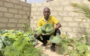 Fatimata : ces récoltes sont aussi les tiennes
