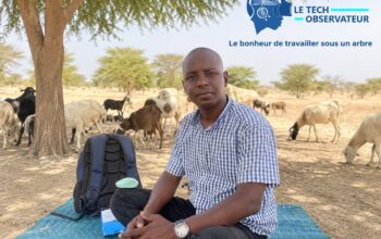 Le bonheur de travailler sous un arbre